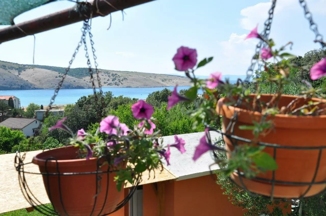 Apartments Bela - Sea View Lopar 0*,